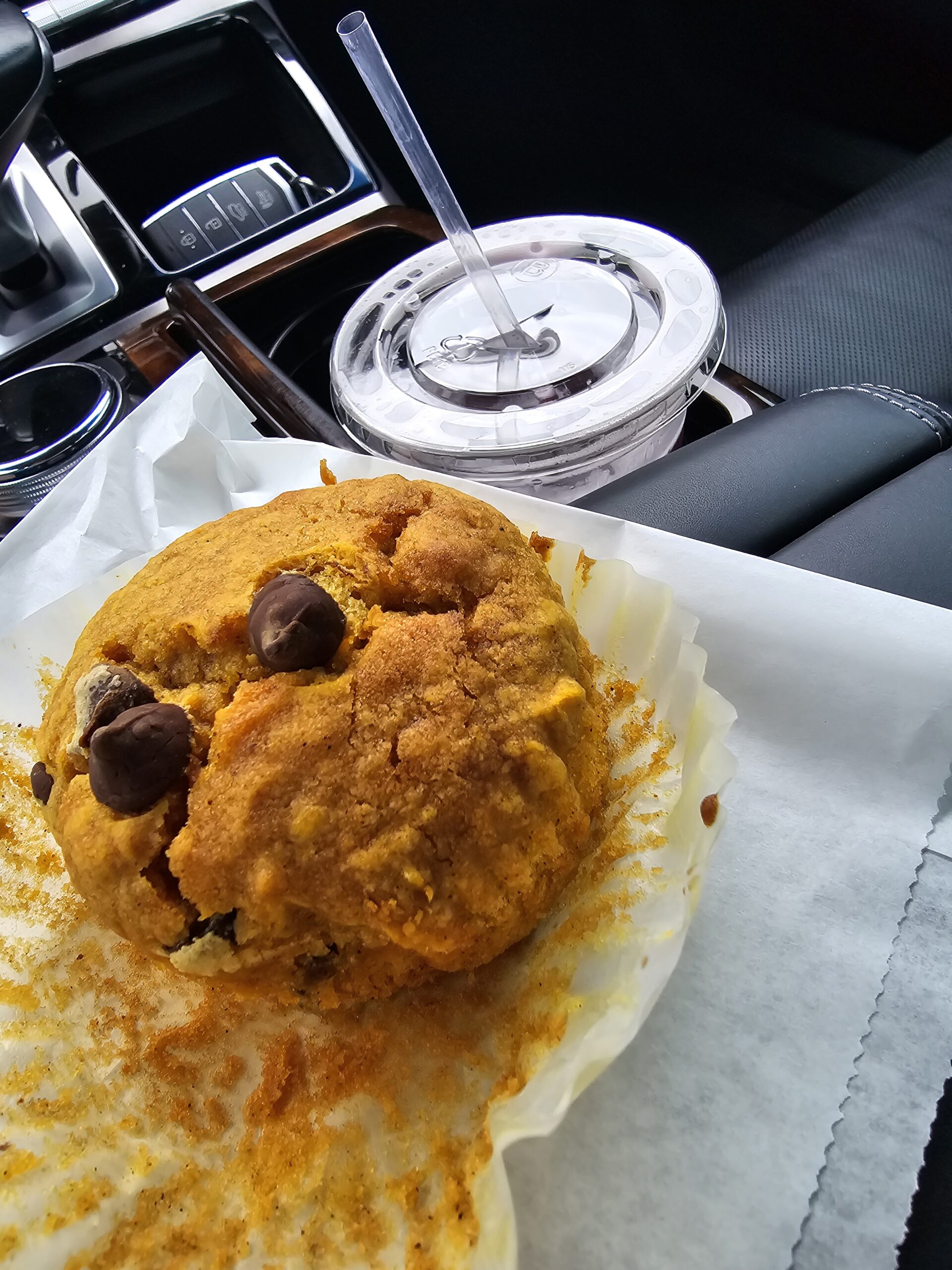 Chocolate Chip Muffin, Wilmington NC