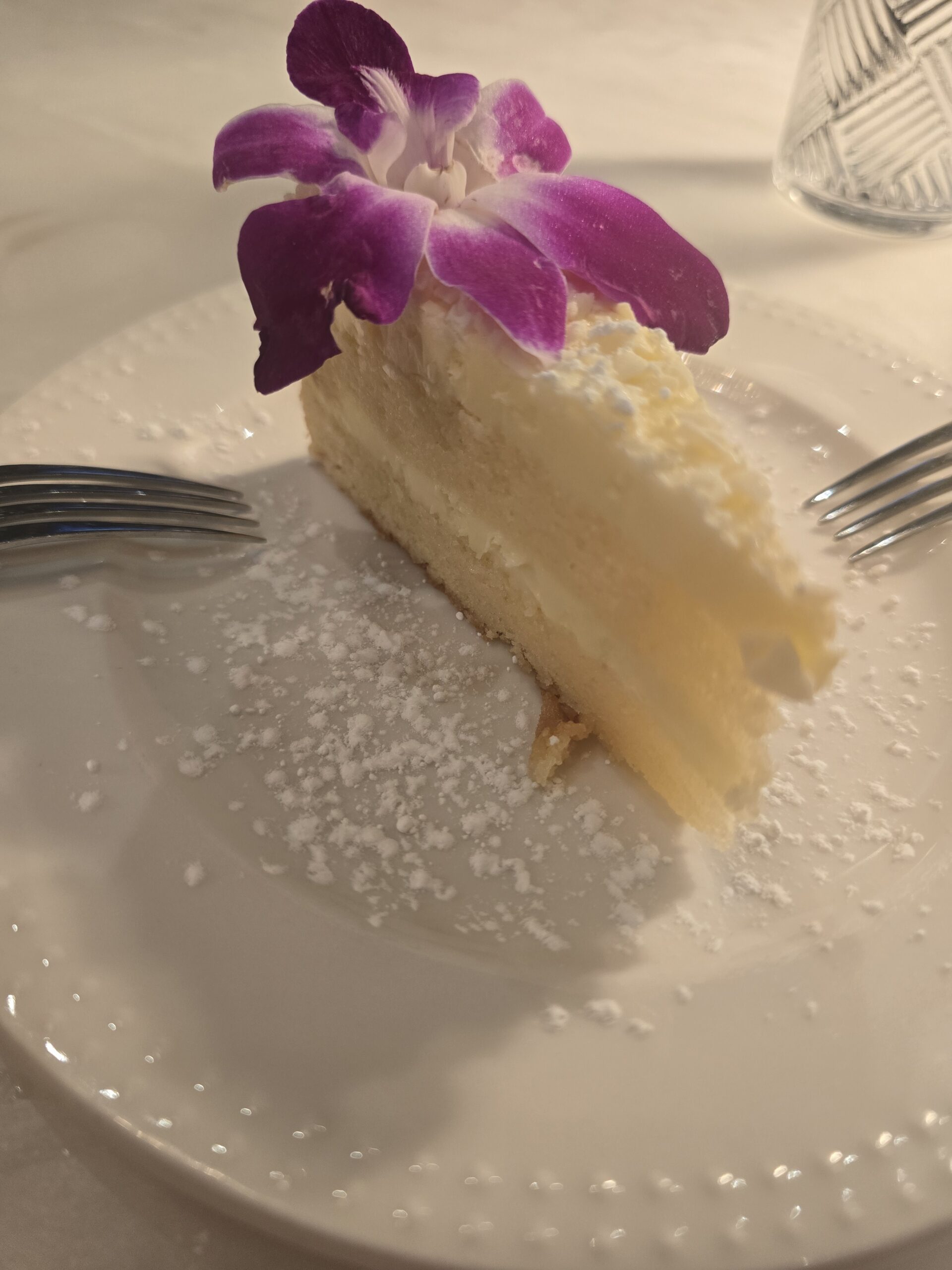 Lemon Cake, Tampa Bay