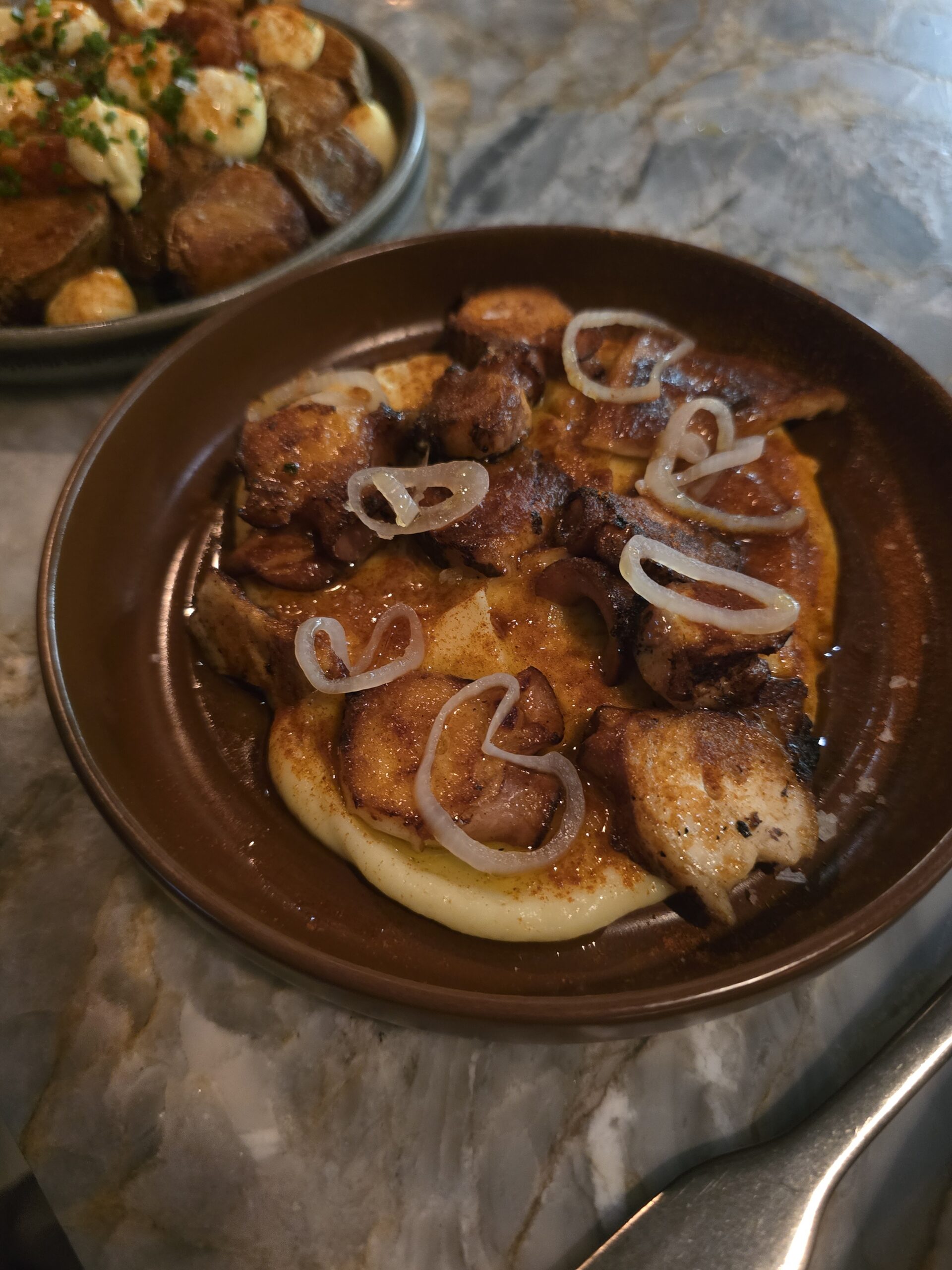 Octopus at Lumbre, Tampa FL